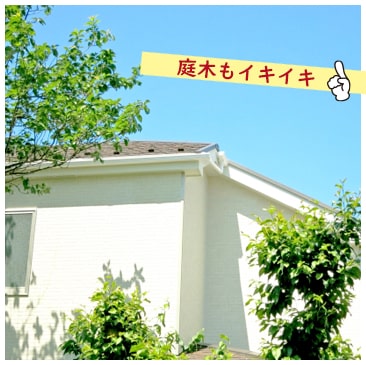 雨だれで軒下地面が掘り下げられることを防ぎ、外壁庭木などを守ります。 雨だれで軒下地面が掘り下げられることを防ぎ、外壁庭木などを守ります。