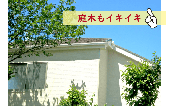 雨だれで軒下地面が掘り下げられることを防ぎ、外壁庭木などを守ります。 雨だれで軒下地面が掘り下げられることを防ぎ、外壁庭木などを守ります。