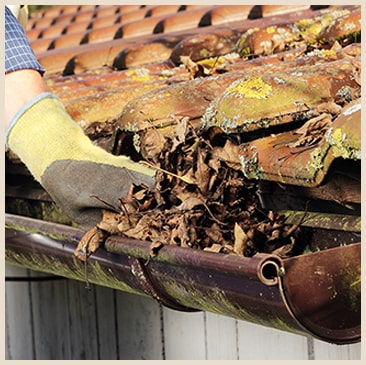 枯葉が詰まっていたので掃除のお願いをしました。 枯葉が詰まっていたので掃除のお願いをしました。