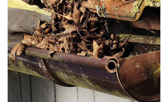 枯葉が詰まっていたので掃除のお願いをしました。 枯葉が詰まっていたので掃除のお願いをしました。